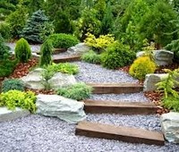 Photo  19