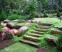 Photo  22