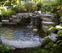 Photo  3