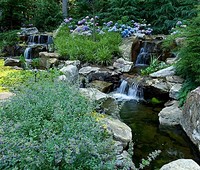 Photo  5