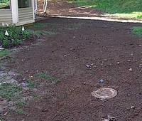 Photo  15