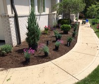 Photo  23