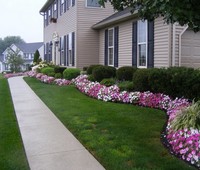 Photo  31