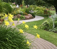 Photo  29