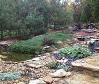 Photo  8